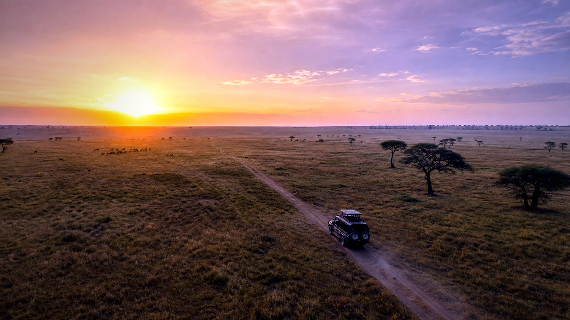 Ol Pejeta Serena